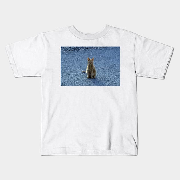 Ginger Cat Kids T-Shirt by likbatonboot